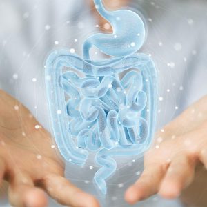 Distrofia di Duchenne, Cnr: nuove evidenze ruolo microbiota intestinale
